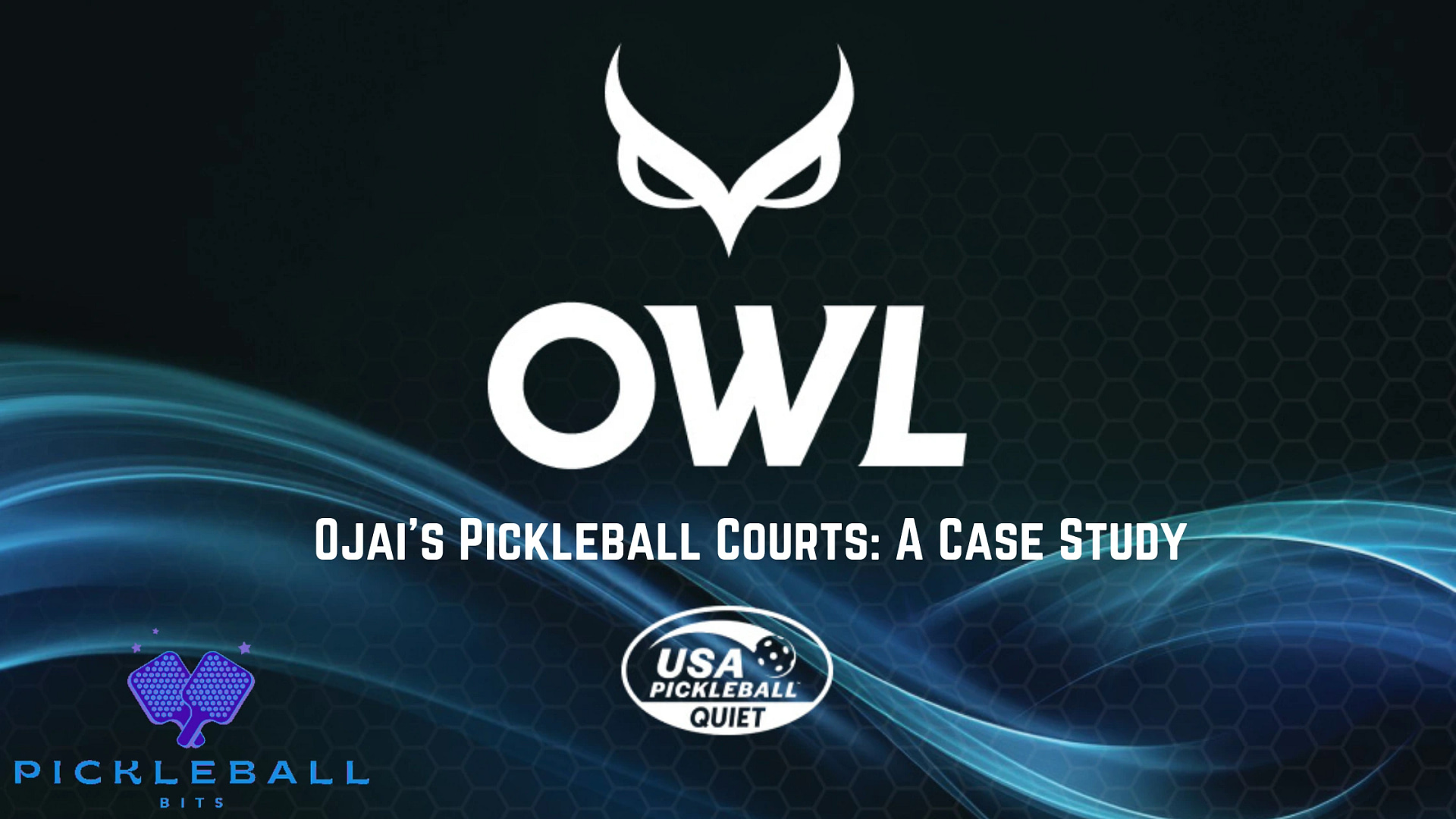 Owl paddles Ojai valley pickleball case study with white Owl logo and blue pickleball bits logo.