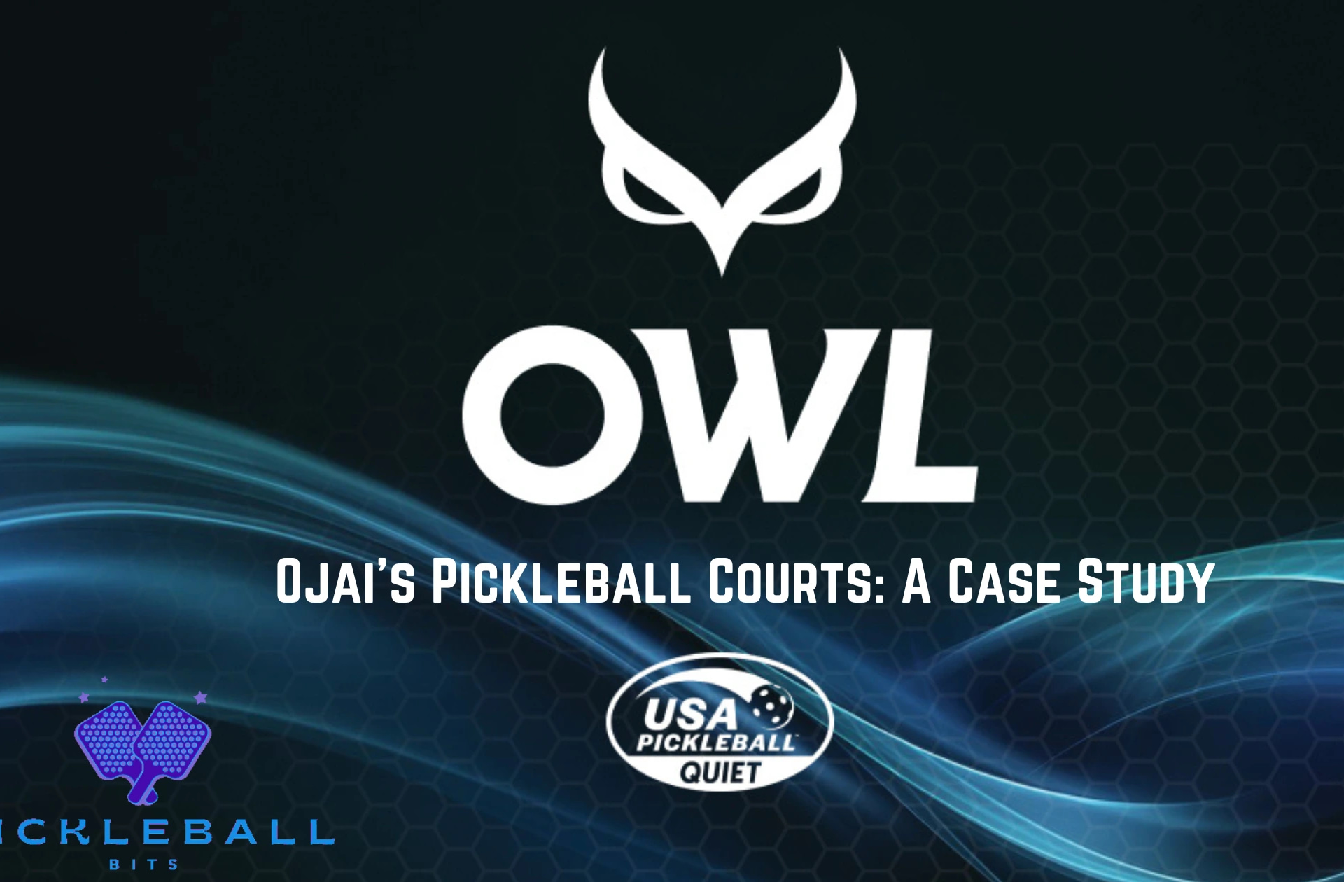 Owl paddles Ojai valley pickleball case study with white Owl logo and blue pickleball bits logo.